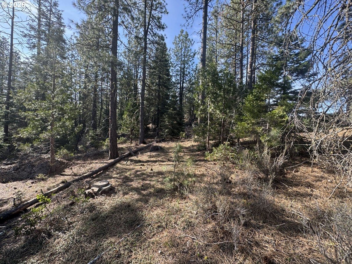 Listing photo 1 of 6