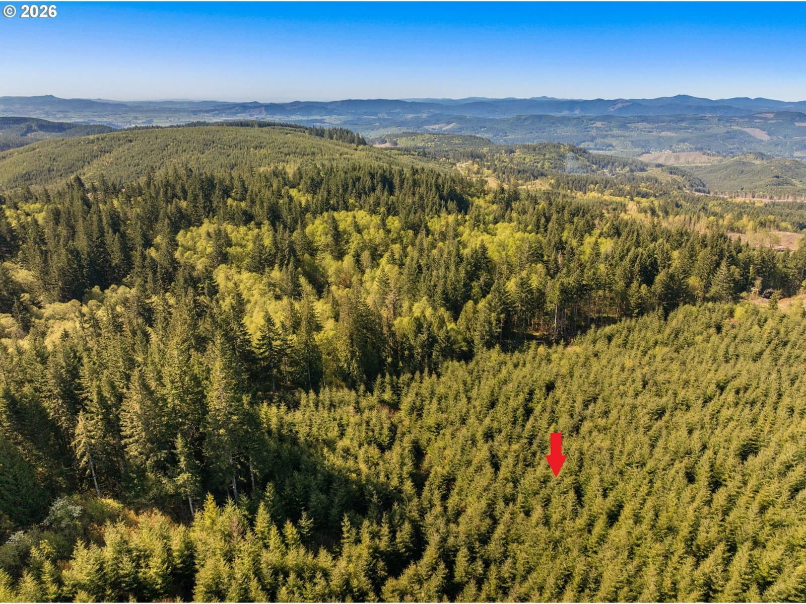 Listing photo 1 of 6